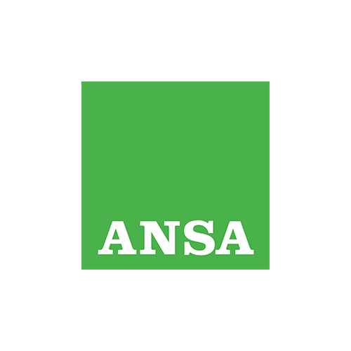 ANSA.png